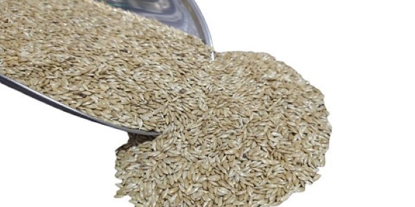 تصویر 3 از خرید و قیمت تخم کتان سفید + فروش صادراتی